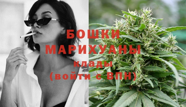 ПСИЛОЦИБИНОВЫЕ ГРИБЫ Новодвинск