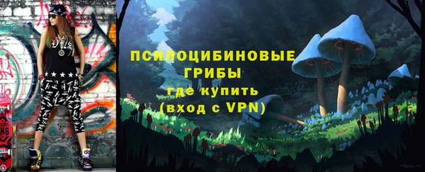 ПСИЛОЦИБИНОВЫЕ ГРИБЫ Новодвинск