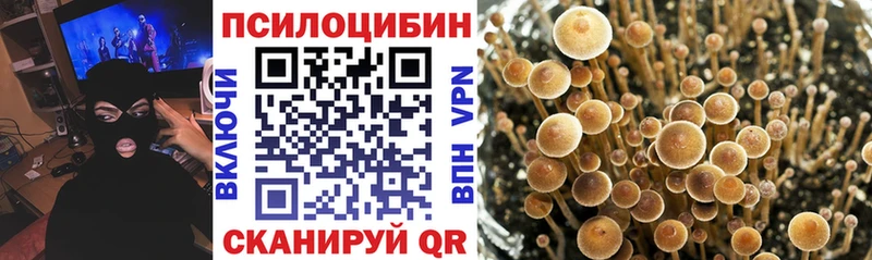 Купить Новое Девяткино Галлюциногенные грибы Magic Shrooms
